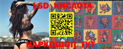 прущие грибы Моздок