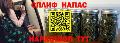 тгк Можга