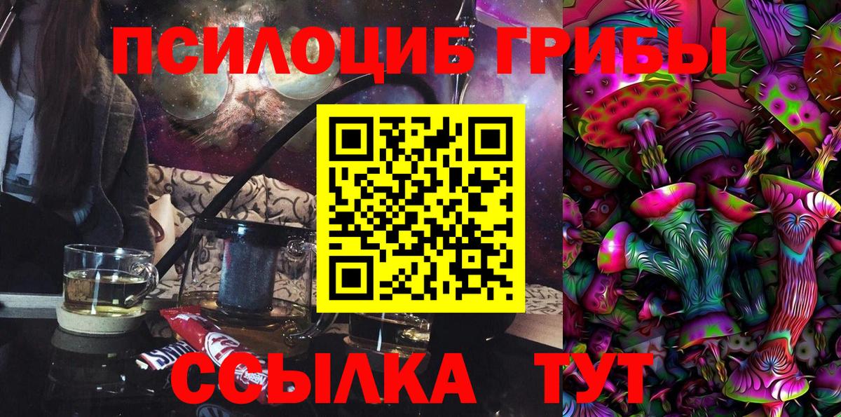 Псилоцибиновые грибы Cubensis  Галлюциногенные грибы GOLDEN TEACHER  Славянск-на-Кубани  Вход с VPN 