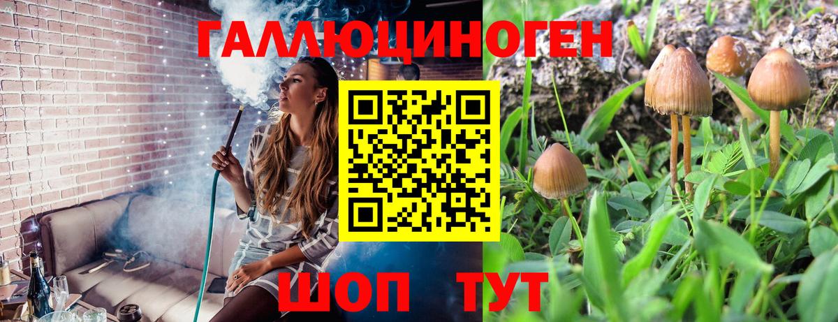 Псилоцибиновые грибы мицелий Славянск-на-Кубани